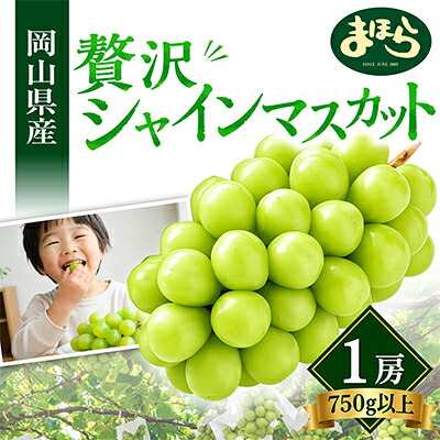 【ふるさと納税】【2026年度発送分】早起き農家の直送便　上出来シャインマスカット1房_ シャインマスカット マスカット ぶどう 葡萄 ブドウ 甘い 果物 くだもの フルーツ 岡山県 津山市 ギフト プレゼント 【配送不可地域：離島・北海道・沖縄県】【1519573】