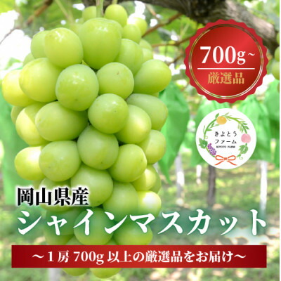 【ふるさと納税】【厳選品】大粒シャインマスカット1房 700g～ (岡山県産) 果樹園厳選のシャインをお届け!_ シャインマスカット ぶどう 葡萄 ブランド葡萄 種なし 大粒 700g 1房 厳選 果物 フルーツ 岡山県 津山市 送料無料 贈答 ギフト 【配送不可地域：離島】【1548995】