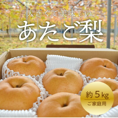 【ふるさと納税】【きよとうファーム】あたご梨 ご家庭用/約5kg(岡山県産)_ 梨 ふるさと納税 なし ナシ 愛宕梨 あたご梨 甘い 果物 フルーツ くだもの デザート 岡山県 津山市 約5kg 国産 産直 産地直送 家庭用 ギフト プレゼント 送料無料 【1566274】