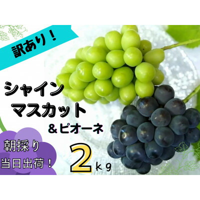 【ふるさと納税】【2025年先行予約】訳あり岡山県産ぶどう詰合せ2kg(シャインマスカット+ピオーネ)【配送不可地域：離島】【1566981】