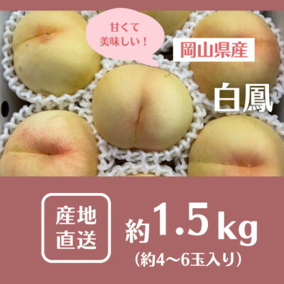 【ふるさと納税】【2025年先行予約】2025年7月中旬頃より発送予定・岡山の白桃・白鳳(1.5kg箱)【配送不可地域：離島】【1578640】