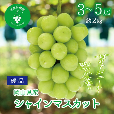 ベッド [トレファク南浦和店] ウォーターヒヤシンス セミダブルベッド
