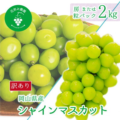 【ふるさと納税】【2026年先行予約】岡山　花笑み農園の『訳ありシャインマスカット』2kg　WS-2_ シャインマスカット ふるさと納税 ぶどう 葡萄 ブドウ マスカット 岡山県産 果物 フルーツ 訳あり【配送不可地域：離島・北海道・沖縄県】【1593500】