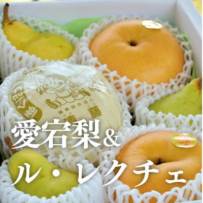 【ふるさと納税】【きよとうファーム】あたご梨&ル・レクチェ 上級品/5-7玉入(岡山県産)【1606507】