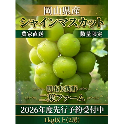 【ふるさと納税】【2026年先行予約】岡山のぶどう(シャインマスカット)1kg以上(2房)_ ぶどう ブドウ シャインマスカット 緑ぶどう 種なし たねなし 皮ごと 1kg セット 果物 フルーツ 贈答 ギフト 人気 岡山県 津山市 送料無料 【配送不可地域：離島】【1617999】