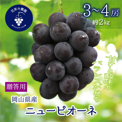 【ふるさと納税】岡山　花笑み農園の『ニューピオーネ』贈答用　約2kg(3～4房)　P-2上_ ニューピオーネ 贈答用 2kg ぶどう 大粒 ギフト フルーツ 果物 送料無料 岡山県 津山市 【配送不可地域：離島・北海道・沖縄県】【1627358】｜岡山県津山市