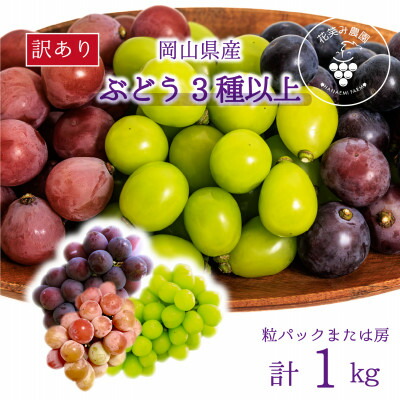 【ふるさと納税】【2026年先行予約】岡山　花笑み農園のブドウ『訳あり3種以上MIX』1kg　W3M-1【配送不可地域：離島・北海道・沖縄県】【1627779】画像