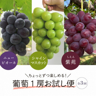 トモ様 PRANAROM オレンジスィート他 合計4点 精油