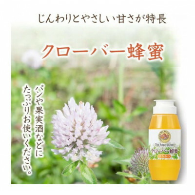 【ふるさと納税】クローバー蜂蜜(ニュージーランド産)300g (03501)【1690264】