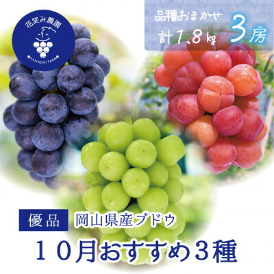 【ふるさと納税】【2026年先行予約】岡山　花笑み農園の『10月おすすめ3種』優品　1.8kg(3房)3M-2L優_ ぶどう おすすめ 3種 食べ比べ 優品 1.8kg 贈答 ギフト フルーツ 果物 送料無料 岡山県 津山市 【配送不可地域：離島】【1694442】