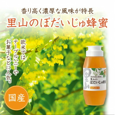 【ふるさと納税】里山のぼだいじゅ蜂蜜(国産)300g (3057)【配送不可地域：離島・北海道・沖縄県】【1702895】｜岡山県津山市