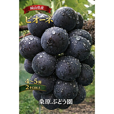 【ふるさと納税】先行予約　岡山産　完熟ピオーネ　4～5房　2キロ以上【配送不可地域：離島】【1712303】