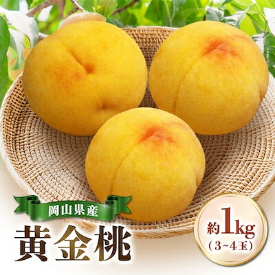【ふるさと納税】【先行予約|8月下旬頃より順次発送】岡山県産『黄金桃』　約1kg(3～4玉)【配送不可地域：離島・北海道・沖縄県】【1726916】｜岡山県津山市