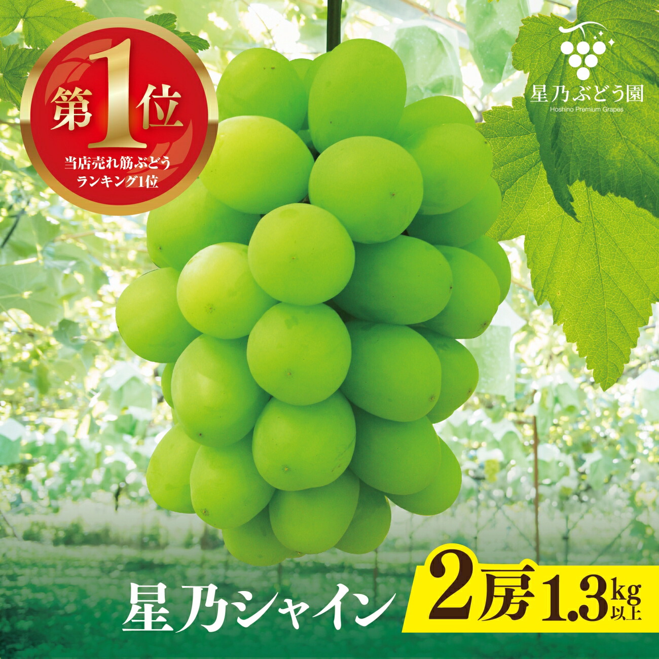 楽天市場】【ふるさと納税】先行予約【三つ星ぶどう】星乃シャイン