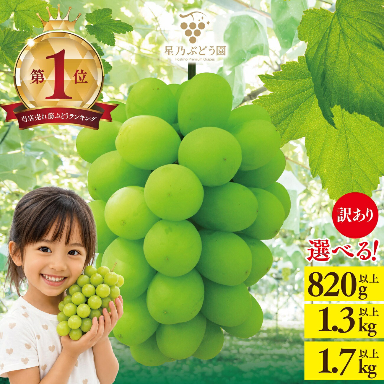 【ふるさと納税】【訳あり】粒の大きさが不揃い 星乃シャインマスカット　1.3kg以上/1.7kg以上/820g以上_ シャインマスカット ぶどう 葡萄 ブドウ 果物 くだもの 訳あり 岡山県 津山市 人気 おすすめ 送料無料 贈答 【配送不可地域：離島・北海道・沖縄県】【G1554831】｜岡山県津山市