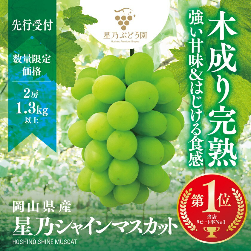 【ふるさと納税】【三つ星ブランド】星乃シャインマスカット 数量限定 (岡山県産) 2房(1.3kg以上)_ シャインマスカット ぶどう 葡萄 ブドウ 果物 くだもの 訳なし マスカット フルーツ 人気 美味しい 岡山 送料無料 【配送不可地域：離島・北海道・沖縄県】【1418979】