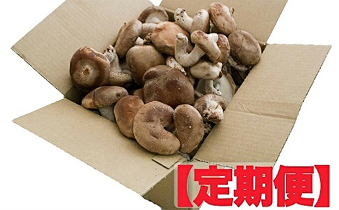 ふるさと納税 血脈しいたけ定期書簡 1kg 3ヶ月 定期便 きのこ 野菜 野菜書割り Geo2 Co Uk