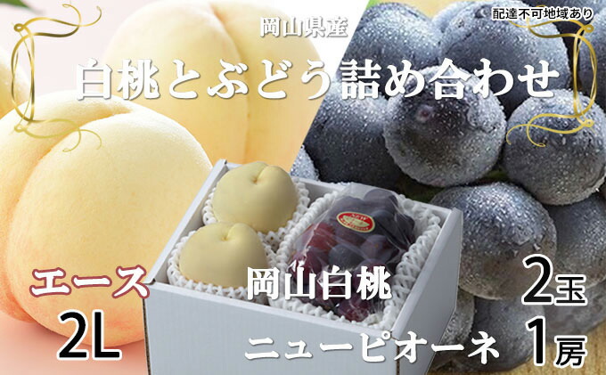 在庫限り】 生活計量 ライフスケール ザルトリウス 手動ピペット Picus 0.2-10μl 735021