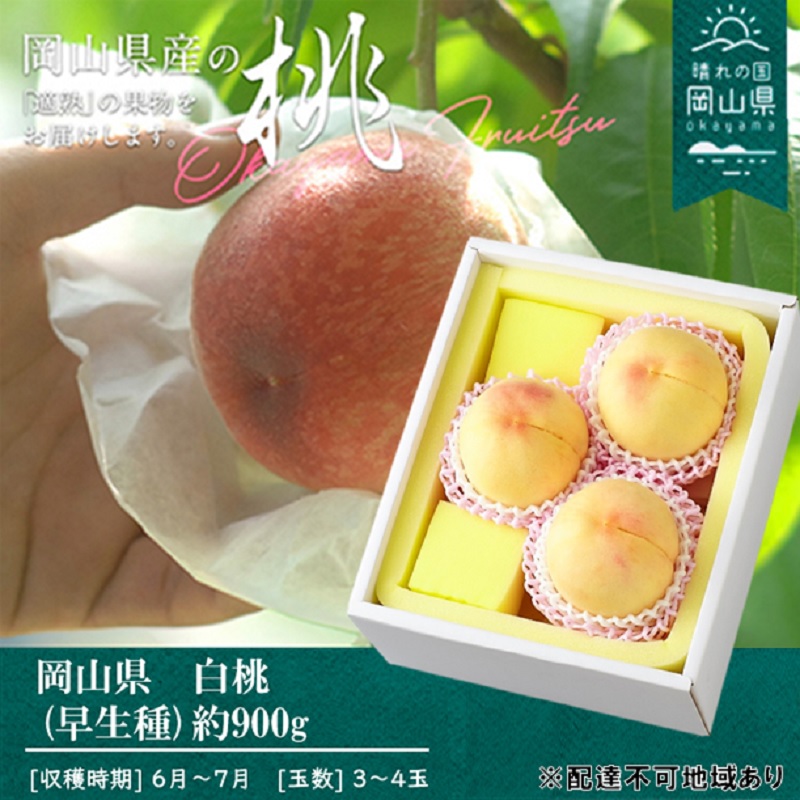 【ふるさと納税】桃 2025年 先行予約 桃 早生種 約900g 3～4玉 もも モモ 岡山県産 国産 フルーツ 果物 ギフト  果肉 　お届け：2025年6月下旬～2025年7月下旬