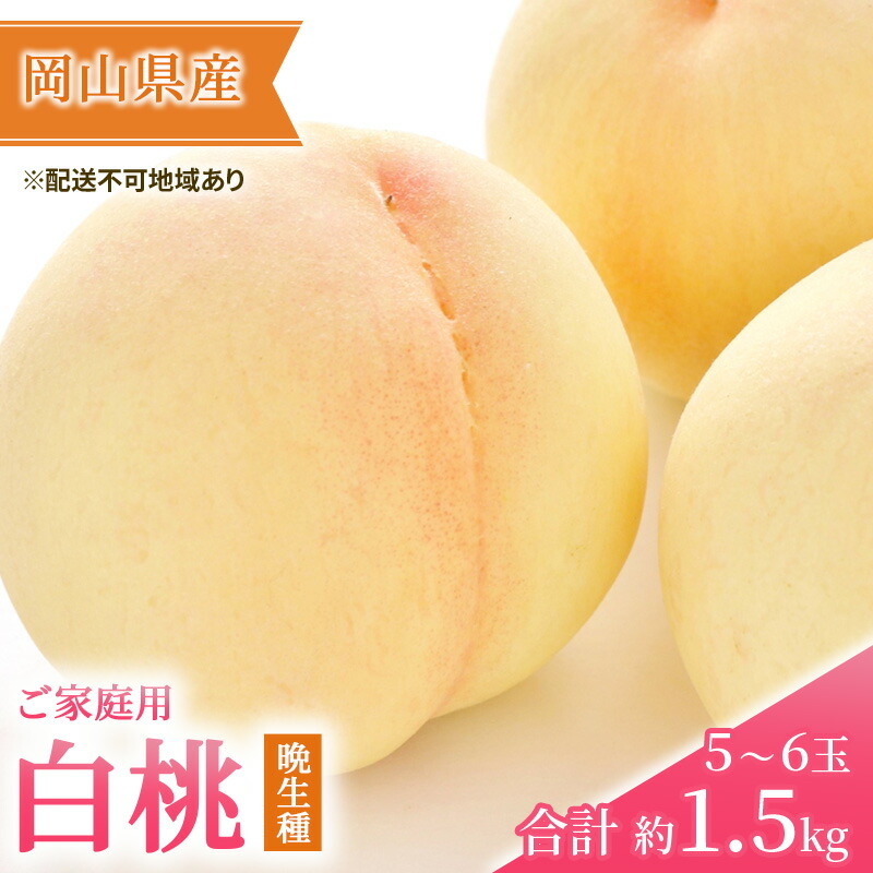 【ふるさと納税】桃 2025年 先行予約 ご家庭用 白桃（晩生種）5～6玉 合計約1.5kg もも モモ 岡山県産 国産 フルーツ 果物 ギフト フルーツ果肉 　お届け：2025年8月上旬～2025年8月下旬