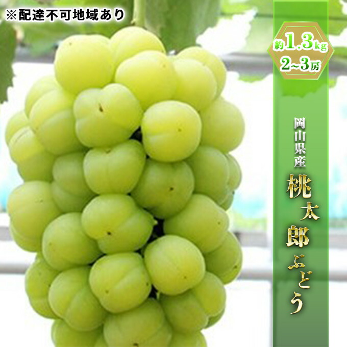 【ふるさと納税】ぶどう 2025年 先行予約 桃太郎 ぶどう約1.3kg 2～3房 ブドウ 葡萄  岡山県産 国産 フルーツ 果物 ギフト 種なし 1kg 種なしぶどう 果物類 　お届け：2025年9月上旬～2025年9月下旬