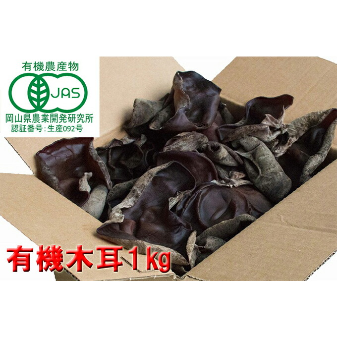 【ふるさと納税】【 産地直送 】 有機JAS 生きくらげ 1kg  オーガニック きくらげ 野菜 きのこ 岡山県 玉野市 栽培期間中化学肥料不使用 栽培期間中農薬不使用 野菜セット