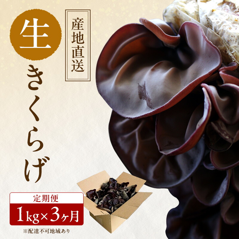 【ふるさと納税】【 産地直送 】 有機JAS 生きくらげ 定期便 1kg×3ヶ月 オーガニック きくらげ きのこ 野菜 岡山県 玉野市 栽培期間中化学肥料不使用 栽培期間中農薬不使用 野菜セット