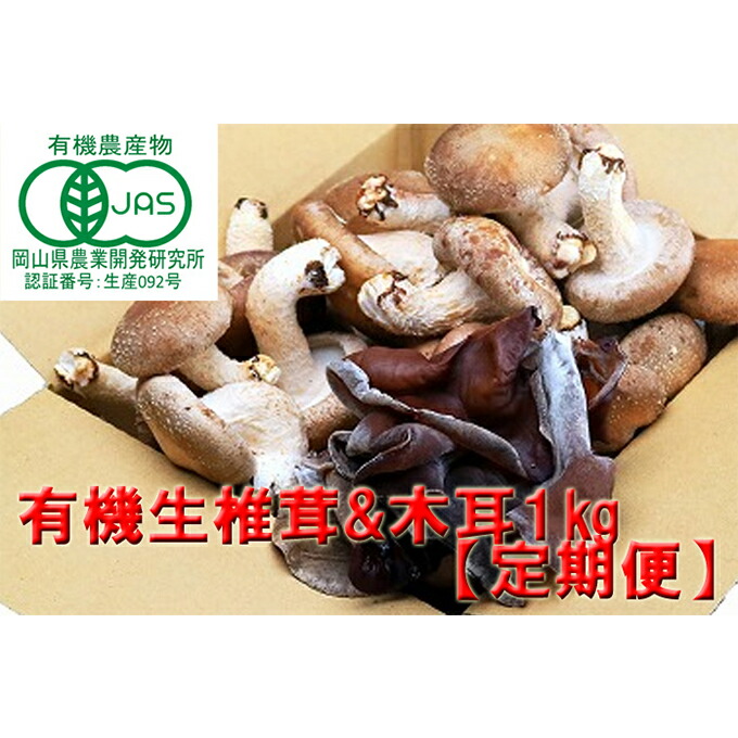 【ふるさと納税】【 産地直送 】 有機JAS 生椎茸 800g ＆ 生きくらげ 200g 定期便 6ヶ月 オーガニック しいたけ 椎茸 きくらげ きのこ 野菜 岡山県 玉野市 栽培期間中化学肥料不使用 栽培期間中農薬不使用 野菜セット
