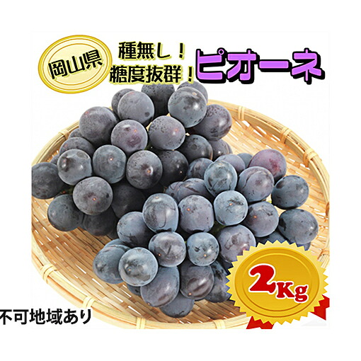 【ふるさと納税】ぶどう 2026年 先行予約 ニュー ピオーネ【9月上旬～順次発送分】約2kg（2房～5房）秀品 糖度抜群！ 種無し ブドウ 葡萄 岡山県産 国産 フルーツ 果物 ギフト 果物類 　お届け：2026年9月上旬～2026年10月上旬｜岡山県玉野市