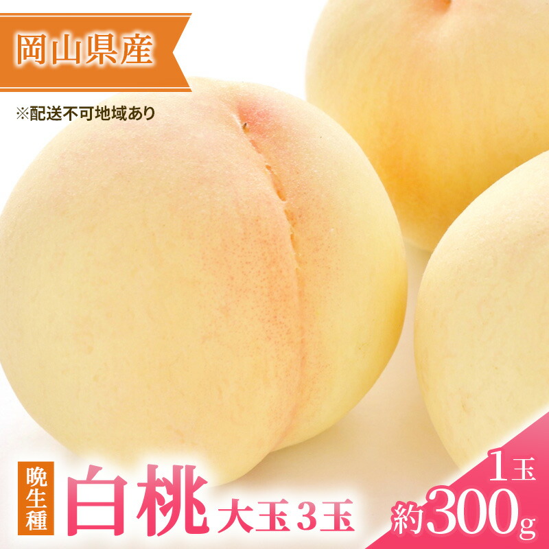 【ふるさと納税】桃 2025年 先行予約 岡山の 白桃 大玉3玉（晩生種）（1玉約300g） もも モモ 岡山県産 国産 フルーツ 果物 ギフト 果物類 　お届け：2025年7月下旬～2025年8月下旬