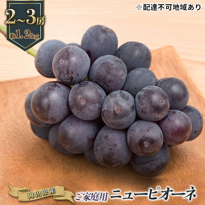 【ふるさと納税】 ぶどう ［2023年先行予約］ ご家庭用 オーロラブラック 2〜3房（約1.2kg） 岡山県産 【果物 ぶどう フルーツ  果物類 オーロラブラック】 お届け：2023年8月下旬〜2023年9月下旬 岡山県玉野市