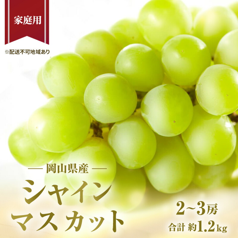 【ふるさと納税】ぶどう 2025年 先行予約 ご家庭用 シャイン マスカット 2～3房 合計約1.2kg ブドウ 葡萄  岡山県産 国産 フルーツ 果物 ギフト 果物類 シャインマスカット 　お届け：2025年9月上旬～2025年10月下旬