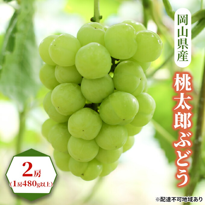 【ふるさと納税】ぶどう 2025年 先行予約 桃太郎 ぶどう 2房（1房480g以上） ブドウ 葡萄  岡山県産 国産 フルーツ 果物 ギフト 　お届け：2025年8月下旬～2025年9月下旬
