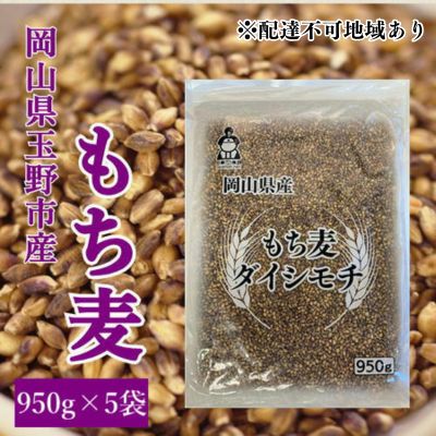 【ふるさと納税】お米 もち麦 米 【通年出荷】岡山県玉野市産 もち麦 ダイシモチ 950g×5袋 　お届け：順次発送
