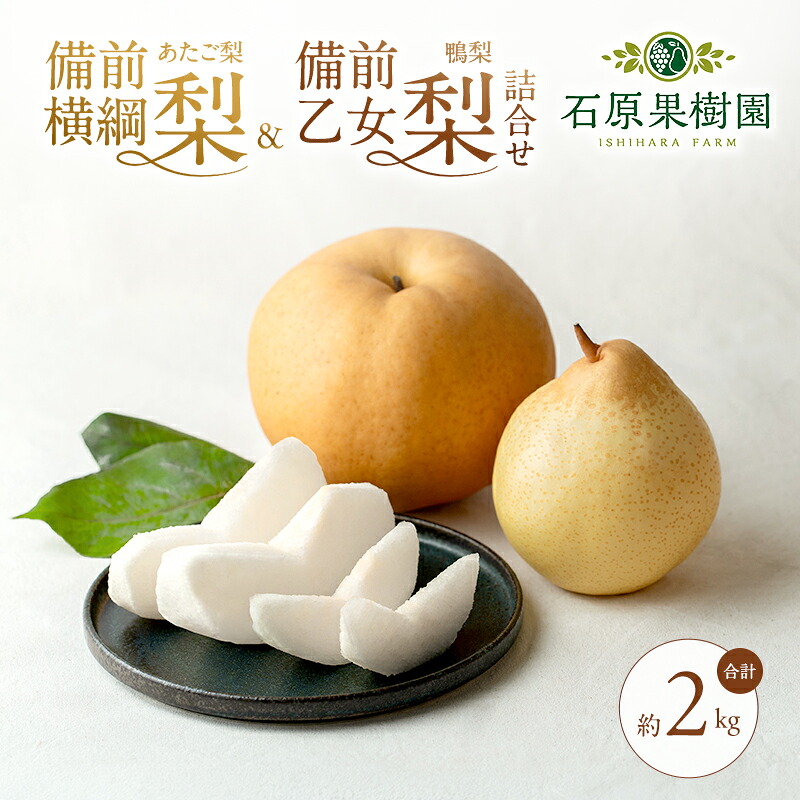 【ふるさと納税】梨 2026年 先行予約 備前横綱梨（あたご梨） 1玉( 1～1.5kg)・備前乙女梨（鴨梨） 2～3玉 詰合せ 合計約2.0kg 【11月下旬～12月中旬頃発送】岡山県産 フルーツ ギフト 石原果樹園 ナシ 果物 　お届け：2026年11月15日～2026年12月20日 20,590円