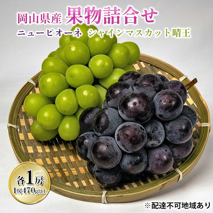 【ふるさと納税】ぶどう 2026年 先行予約 果物 詰合せ ニュー ピオーネ 1房（1房470g以上）シャイン マスカット 晴王 1房（1房470g以上） 化粧箱入り 岡山県産 国産 フルーツ ギフト 果物類 　お届け：2026年8月下旬～2026年9月下旬