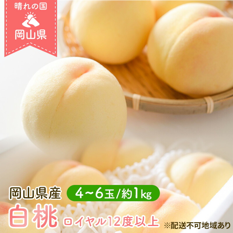 【ふるさと納税】桃 2025年 先行予約 岡山 白桃 ロイヤル 4～6玉 約1kg JA おかやま のもも（早生種・中生種） もも モモ 岡山県産 国産 フルーツ 果物 ギフト 　お届け：2025年7月上旬～2025年8月中旬