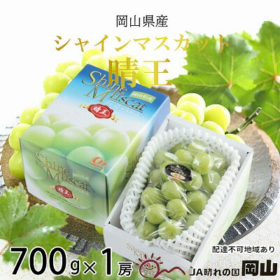 【ふるさと納税】ぶどう 2025年 先行予約 シャイン マスカット 晴王 約700g×1房 ブドウ 葡萄  岡山県産 国産 フルーツ 果物 ギフト シャインマスカット 美しい 大粒 種なし 弾力 高糖度 甘い 　お届け：2025年7月中旬～2025年8月中旬