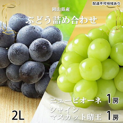 【ふるさと納税】ぶどう 2025年 先行予約 ニュー ピオーネ 1房 約500g シャイン マスカット 晴王 1房 約500g（2Lサイズ）詰め合わせ 岡山県産 国産 フルーツ 果物 ギフト 大粒 種なし 高糖度 甘い セット 　お届け：2025年6月下旬～2025年7月下旬