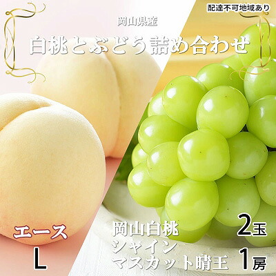 【ふるさと納税】桃 ぶどう 2026年 先行予約 岡山 白桃 エース 2玉&times;約200g（Lサイズ、早生種・中生種）シャイン マスカット 晴王 1房約400g 詰め合わせ 岡山県産 フルーツ 　お届け：2026年7月上旬～2026年8月中旬｜岡山県玉野市