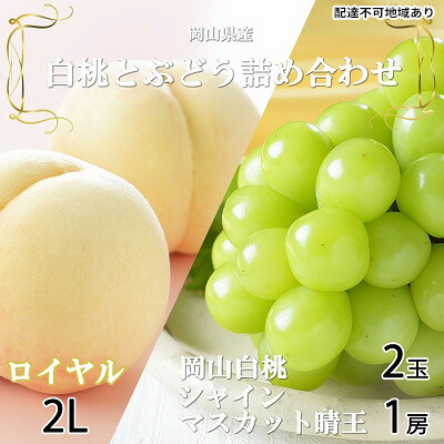 【ふるさと納税】桃 ぶどう 2026年 先行予約 岡山 白桃 ロイヤル 2玉&times;約250g（2Lサイズ、早生種・中生種）シャイン マスカット 晴王 1房約500g 詰め合わせ 岡山県産 フルーツ 　お届け：2026年7月上旬～2026年8月中旬｜岡山県玉野市