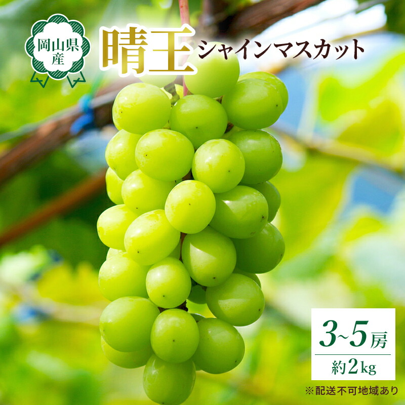 【ふるさと納税】ぶどう 2025年 先行予約 岡山 名産  晴王 シャイン マスカット たっぷり2kg！9月上旬以降順次発送 ギフトにも ブドウ 葡萄  岡山県産 国産 フルーツ 果物 種なし 皮ごと 濃厚な甘み 上品な香り 　お届け：2025年9月上旬～2025年10月上旬