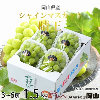 【ふるさと納税】ぶどう 2025年 先行予約 シャイン マスカット 晴王 3房～6房 約1.5kg  ブドウ 葡萄  岡山県産 国産 フルーツ 果物 ギフト 果物類 　お届け：2025年8月下旬～2025年11月下旬