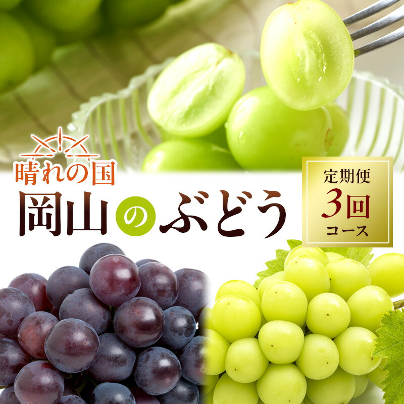 【ふるさと納税】ぶどう 定期便 2025年 先行予約 晴れの国 岡山 の ぶどう定期便 3回コース 葡萄 ブドウ 岡山県産 国産 セット ギフト 旬のぶどう アレキサンドリア ニューピオーネ 強い甘み シャインマスカット 　お届け：2025年7月上旬～2025年9月下旬
