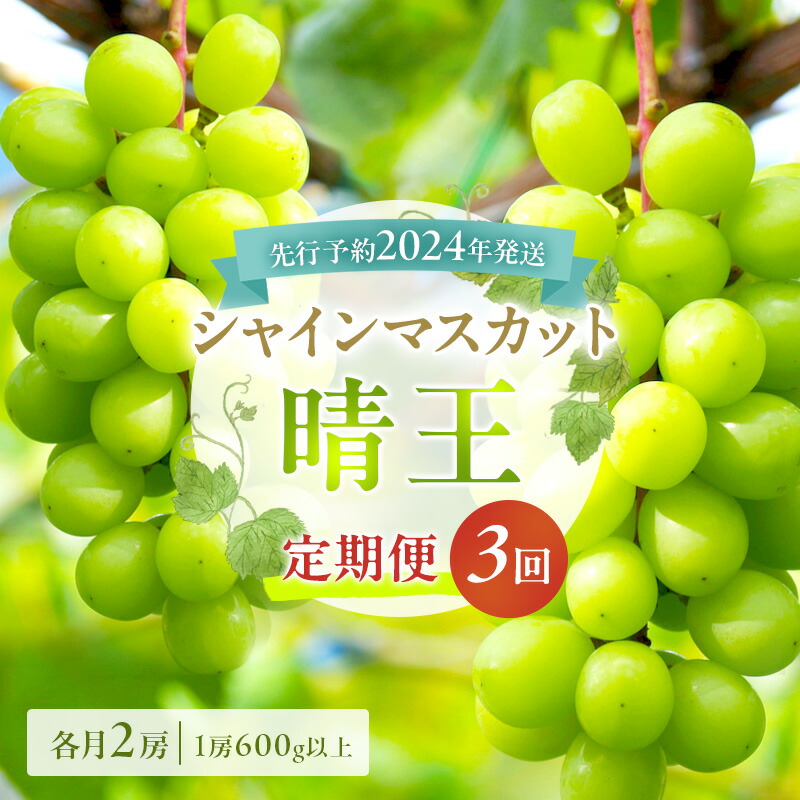 【ふるさと納税】ぶどう 定期便 2025年 先行予約 シャイン マスカット 晴王 各月2房（1房600g以上） 3回コース マスカット ブドウ 葡萄  岡山県産 国産 フルーツ 果物 ギフト 上品な香り 最高級 大粒 種なし 皮ごと 　お届け：2025年8月下旬～2025年10月下旬