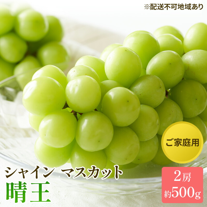 【ふるさと納税】ぶどう 2025年 先行予約 ご家庭用 シャイン マスカット 晴王 約500g×2房 ブドウ 葡萄  岡山県産 国産 フルーツ 果物 太陽 美しい 外観 大粒 高糖度 種なし 皮ごと 弾力 食感 美味しい 　お届け：2025年8月下旬～2025年11月下旬
