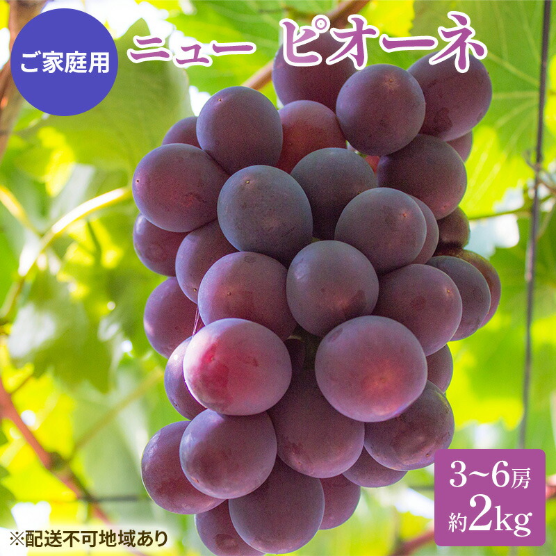 【ふるさと納税】ぶどう 2025年 先行予約 ご家庭用 ニュー ピオーネ 3～6房 約2kg ブドウ 葡萄  岡山県産 国産 フルーツ 果物 巨峰 美しい 外観 大粒 高糖度 種なし 皮ごと 芳醇 酸味 美味しい 絶妙 バランス 大人気 　お届け：2025年8月下旬～2025年10月上旬