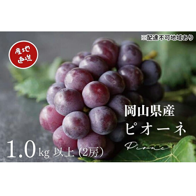 【ふるさと納税】厳選 ニューピオーネ 2房 合計1.0kg以上 産地直送 朝採れ ぶどう 葡萄 Kawahara Green Farm 岡山県産 2025年 果物 フルーツ 甘味 酸味 さっぱり 大粒 種なし 人気 甘い 　お届け：2025年8月下旬～2025年9月下旬
