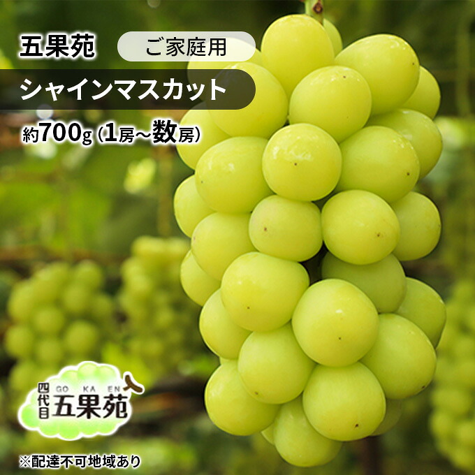 【ふるさと納税】ぶどう 2026年 先行予約 ご家庭用 シャインマスカット 約700g（1房～数房） ぶどう フルーツ 果物 岡山 五果苑 減農薬 甘い 美味しい 人気 種なし 皮ごと デザート おもてなし 　お届け：2026年9月中旬～2026年10月下旬｜岡山県玉野市