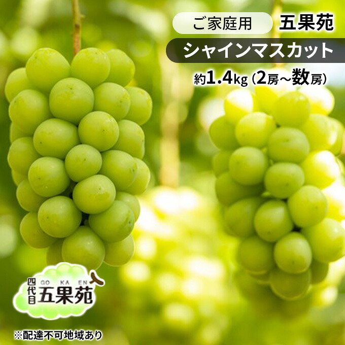 【ふるさと納税】ぶどう 2026年 先行予約 ご家庭用 シャインマスカット 約1.4kg（2房～数房） ぶどう フルーツ 果物 岡山 五果苑 減農薬 甘い 美味しい 人気 種なし 皮ごと デザート おもてなし 　お届け：2026年9月中旬～2026年10月下旬｜岡山県玉野市